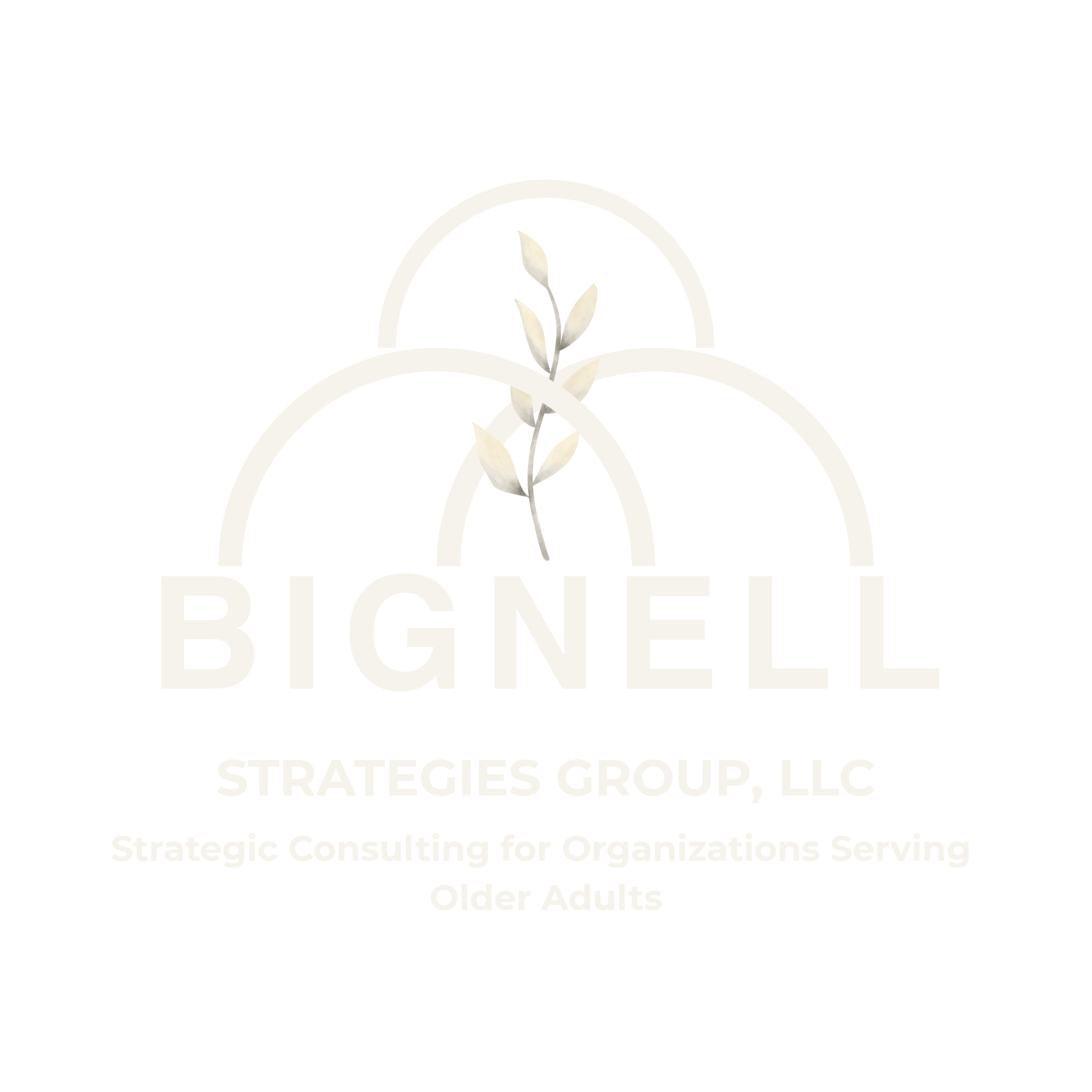 Bignell Strategies Group Logo